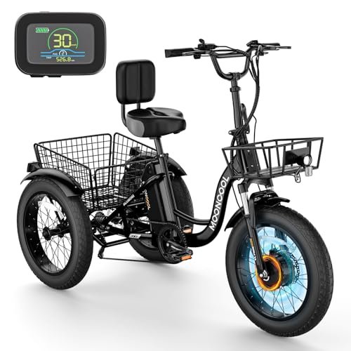 Version 1.0.0 Electric Tricycle Electric Bicycle Electric Trike, 7 Speeds 3 Wheel Electric Bike for Adults with 350W 36V Removable Battery, Electric Cruiser Tricycle - Image 1