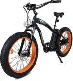 ECOTRIC Coolboy Electric Bike 26" Fat Tire 750W Electric Mountain Bike 48V 12.5AH Removable Large Battery Adult Electric Bicycles Beach Snow Mountain Bike Dual Shock Absorber & Shimano 7-Speed