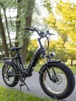 HAOQI Antelope Black Electric Bike for Adults 48V 25AH Removable Dual Lithium Battery, 750W Motor, 20" x 4.0 Fat Tire Step-Thru Ebike up to 28MPH, 7-Speed - Image 5