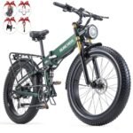 DAMSON 1000W Electric Bike Ebike for Adult 48V 20AH Removable Battery 26"X4"Fat Tire up to 30MPH &75 Miles Long Range Off Road Beach Mountain Electric Bicycle with Dual Hydraulic Disc Brakes