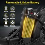 Electric Bike for Adults with Waterproof Removable Battery, 45Miles 20MPH Commuting City Electric Bike with 250W/500W Brushless Motor, 20" Tires and Disc Brake Ebike, Complies to ANSI/CAN/UL2849 - Image 2