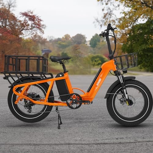 Version 1.0.0 HAOQI Electric Bike for Adults, 750w(Peak 1300w) Brushless Motor,48V 27.8Ah Dual Battery for 90-120 Miles Range,20 * 4" Fat Tire Cargo Ebike, 450lbs Weight Capacity with Front and Rear Baskets - Image 1