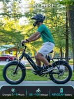 HAOQI Antelope Black Electric Bike for Adults 48V 25AH Removable Dual Lithium Battery, 750W Motor, 20" x 4.0 Fat Tire Step-Thru Ebike up to 28MPH, 7-Speed - Image 2