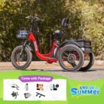 ADDMOTOR TRIKETAN II M-330 Electric Trike for Adults, 750W Rear Motor Electric Tricycle, 450lbs, 48V 20Ah 85MI 3 Wheel Electric Bike for Seniors, Fat Tire E-Trike with Parking Brake & Differential - Image 2
