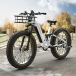 Electric Bike for Adults 960W, 48V 20AH Battery Adult Electric Bicycles, 26" Fat Tire Full Suspension Step-Thru Ebike, 28MPH Mountain Ebike, 7 Speed, 80Miles Range, UL Certified-Boxer ST