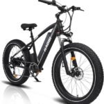 HAOQI 750W(Peak 1000W) Leopard Pro Electric Bike for Adults, 48V 20AH Removabl Battery Mountain Bike,26" x 4.0 Fat Tire Ebike with 28MPH, 7-Speed,UL 2849 Certified