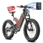 Eahora P5 Plus (Upgraded) Electric Bike Peak 1000W Electric Mountain Bike 48V 20Ah Large Capacity Battery 24 * 4.0 Fat Tire Electric Bike 32MPH Full Suspension Electric Bike Color Intelligent Display
