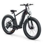 UDON BEEMONE Electric Bike for Adults, 1000w Brushless Motor Ebike, 26" x 4.0 Fat Tire, Electric Bikes with 48V/20Ah Removable Battery, 30-80Miles, 28MPH Peak 7 Speed