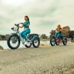 Panda Foldable Electric Trike for Adults, 750W Motor, 3 Wheel Electric Bike with 90-Mile Long Range, Parking Brake, Differential, Fat Tire e Trike with 48V 21Ah Battery - Image 2