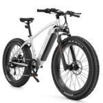 VELOWAVE Electric Bike for Adults 750W BAFANG Motor Peak 1000 28MPH Mountain Ebike 48V 15Ah Removable LG Cells Battery 26'' Fat Tire E Bike Shimano 7-Speed (Step-Over, Silver)