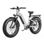 Asomtom Ebikes for Adults, 750W Electric Bike Adults BAFANG Motor 48V 15Ah Removable Battery Adult Bicycles,29MPH 35-60MI Mountain Bike,7-Speed E UL Certified, Silver-gray, 26''