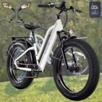HAOQI Leopard Electric Bike for Adults, 750W(Peak 1000W) Brushless Motor Mountain Bike,26" x 4.0 Fat Tire Ebike, 48V 20AH Removable Battery, 28MPH Electric Bicycle,7 Speed