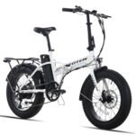 Totem Fat Tire Foldable Electric Bike-Folding E Bike for Adults 750W Peak Motor-20"x4.0" Fat Tire for Woodland,Mountain,Beach,Snow-48V Removable Battery-Speed 20MPH-Max Range 40+ Mile