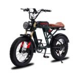 750W Electric Dirt Bike for Adults, 20 * 4.0" Fat Tire & 624WH Removable Battery Moped Style Electric Bike, Up to 28MPH, 7 Speed Gear All-Terrain Ebike for Off-Road, Mountain, Snow (Green)