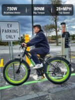 HAOQI Electric Bike for Adults, 26" x 4.0 Fat Tire Ebike, 750W Brushless Motor Mountain Bike with 48V 20AH Removable Battery, Electric Bicycle with 7 Speed to 28MPH… - Image 3