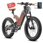Eahora Upgraded P5 Peak 1000W Fat Tire Electric Bike 32MPH 48V 20Ah Adult Electric Bicycles Full Suspension Mountain Electric Bike with Color Display