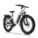 Himiway Zebra D5 26"x4" Electric Bike, 80Miles Range 48V 20Ah Battery 750W Ebike, 400LBS Payload, 25MPH, 7 Speed