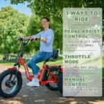 20" 24" 26" 3 Wheel Electric Bike for Senior, 350W/500W Adults Electric Tricycle Trike, Three Wheel Ebike E Bicycle with Removable Battery, Motorized Trike with Basket for Women Men - Image 2