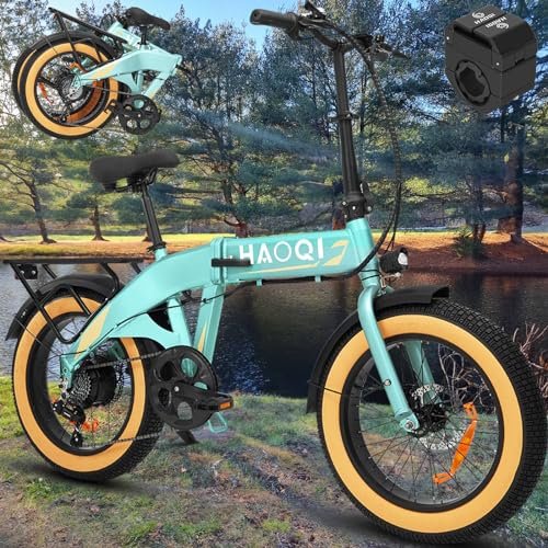 Version 1.0.0 HAOQI Folding Electric Bike for Adults, 500W (Peak 750W) Brushless Motor Electric Bycicle with PAS Throttle, 48V 10.4Ah Removable Battery 20'' *4''Fat Tire Foldable Ebike with Phone Holder, 7-Speed - Image 1
